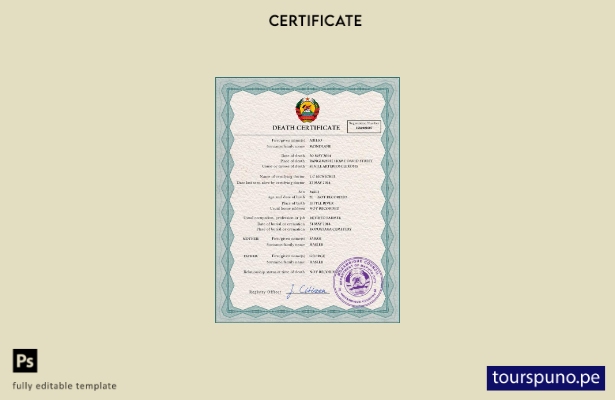 listo para imprimir plantilla PSD del certificado de defunción del registro c 59